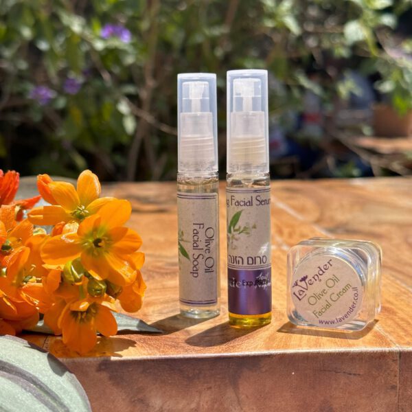 ערכת דוגמיות מוצרי פנים