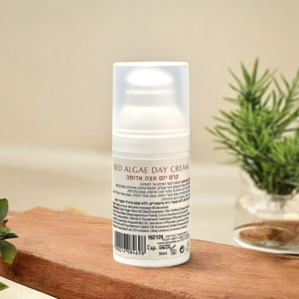- מרכיבים - קרם אנטי אייג'ינג יום