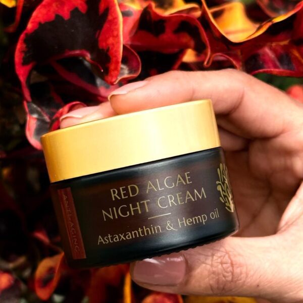 קרם לילה אנטי אייגי'ינג טבעי עם אצה אדומה