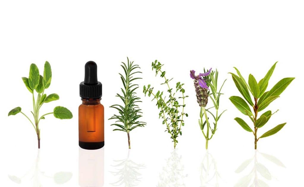 טיפול טבעי באלרגיה אביבית - לבנדר קוסמטיקה טבעית