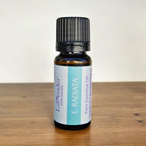 שמן אתרי אקליפטוס רדיאטה